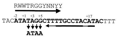 FIG. 1