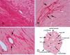 Fig. 1