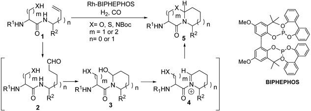 Scheme 2