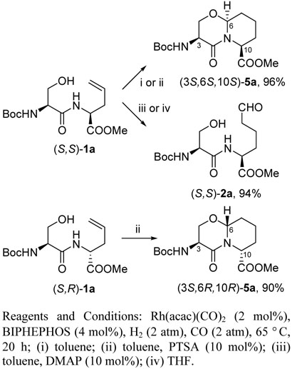 Scheme 3