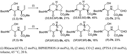 Scheme 10