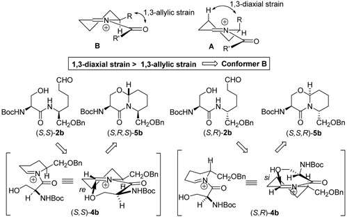 Scheme 15