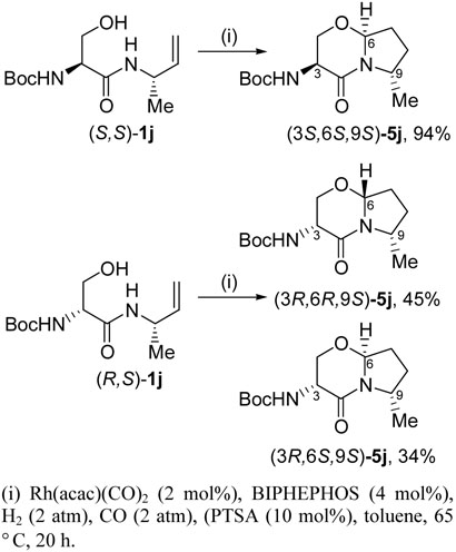 Scheme 12