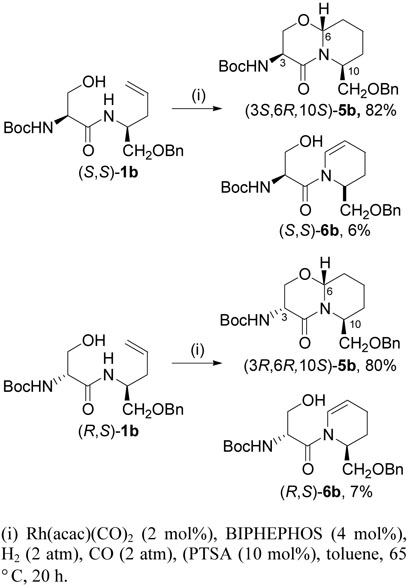 Scheme 4