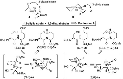 Scheme 14