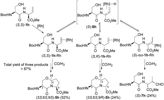 Scheme 16