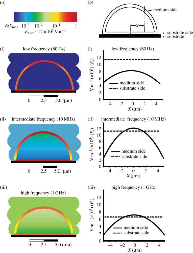 Figure 5.