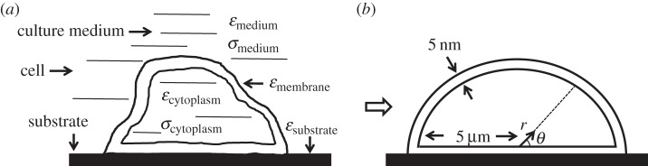 Figure 3.