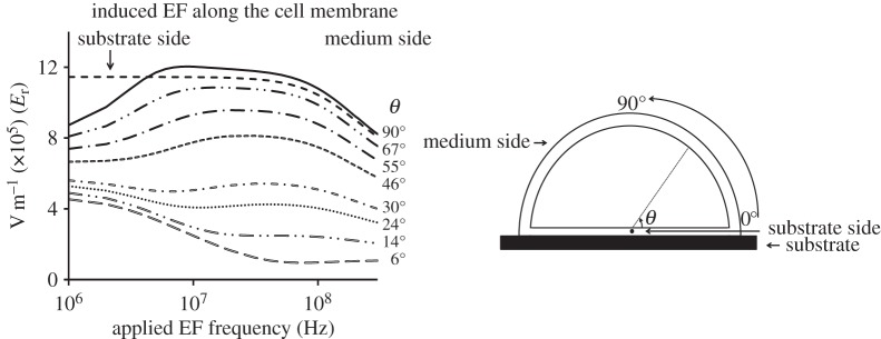 Figure 6.