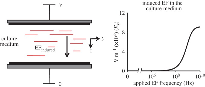 Figure 2.