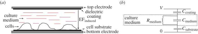 Figure 1.