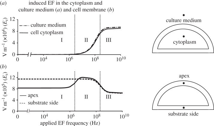 Figure 4.