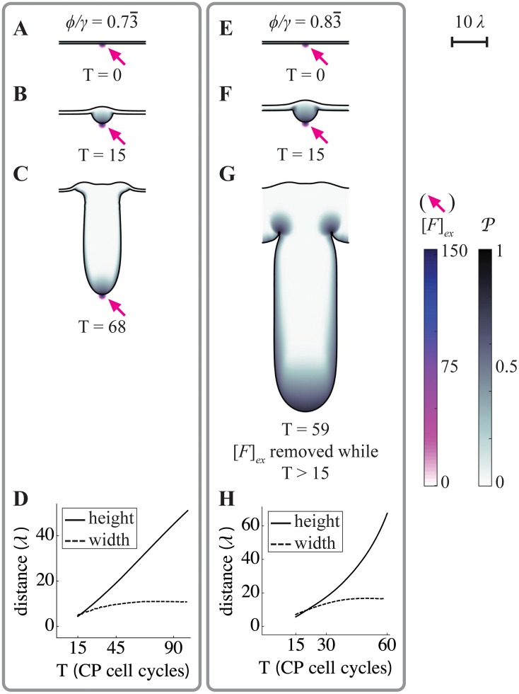 Fig 7