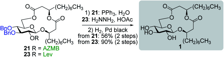 Scheme 5