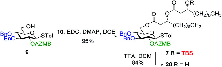 Scheme 4