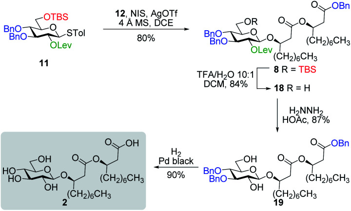 Scheme 3