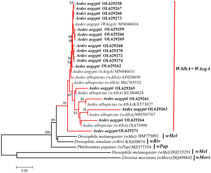 Figure 3