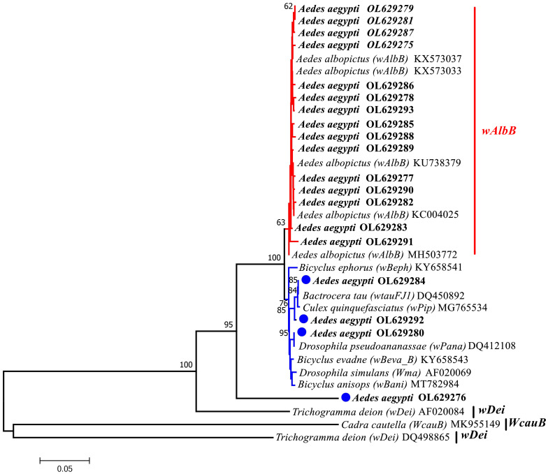 Figure 4