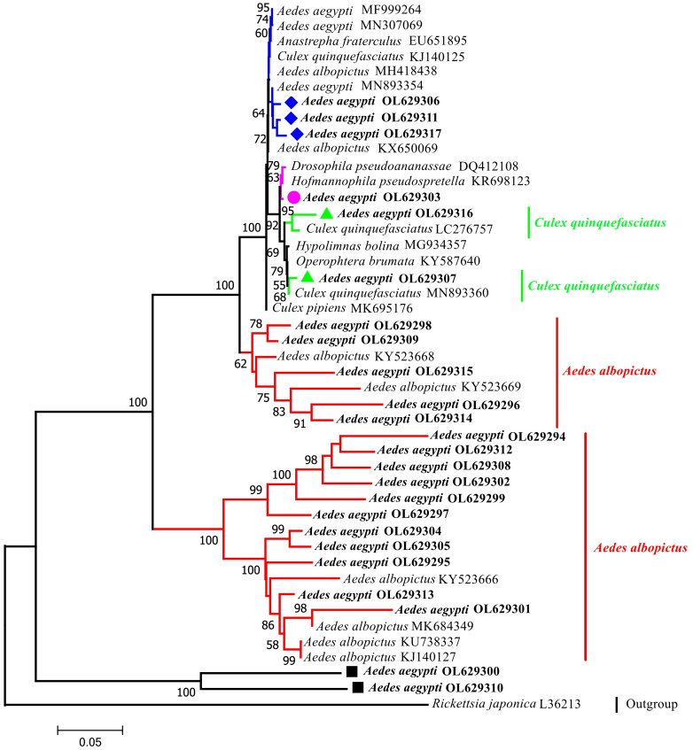 Figure 2