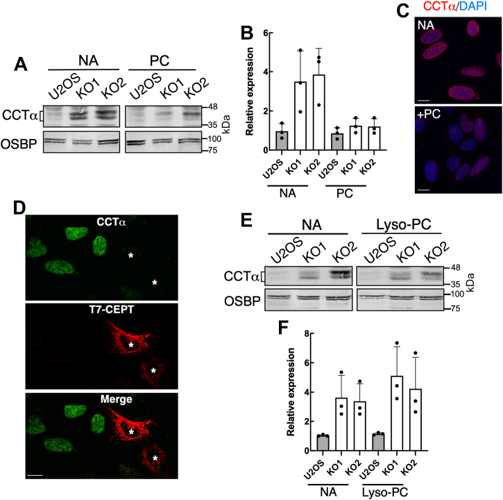 Figure 6