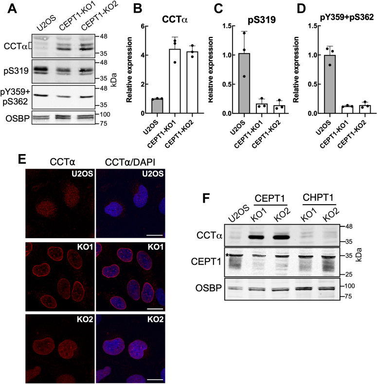 Figure 4