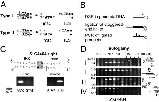 FIG. 4.