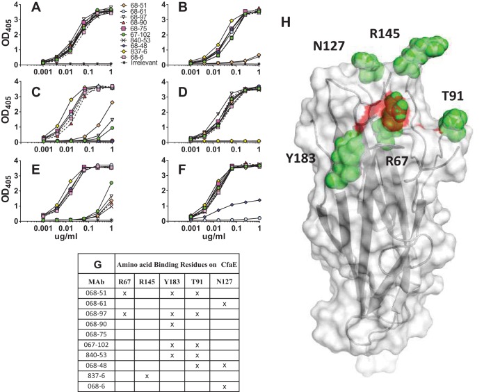 FIG 3