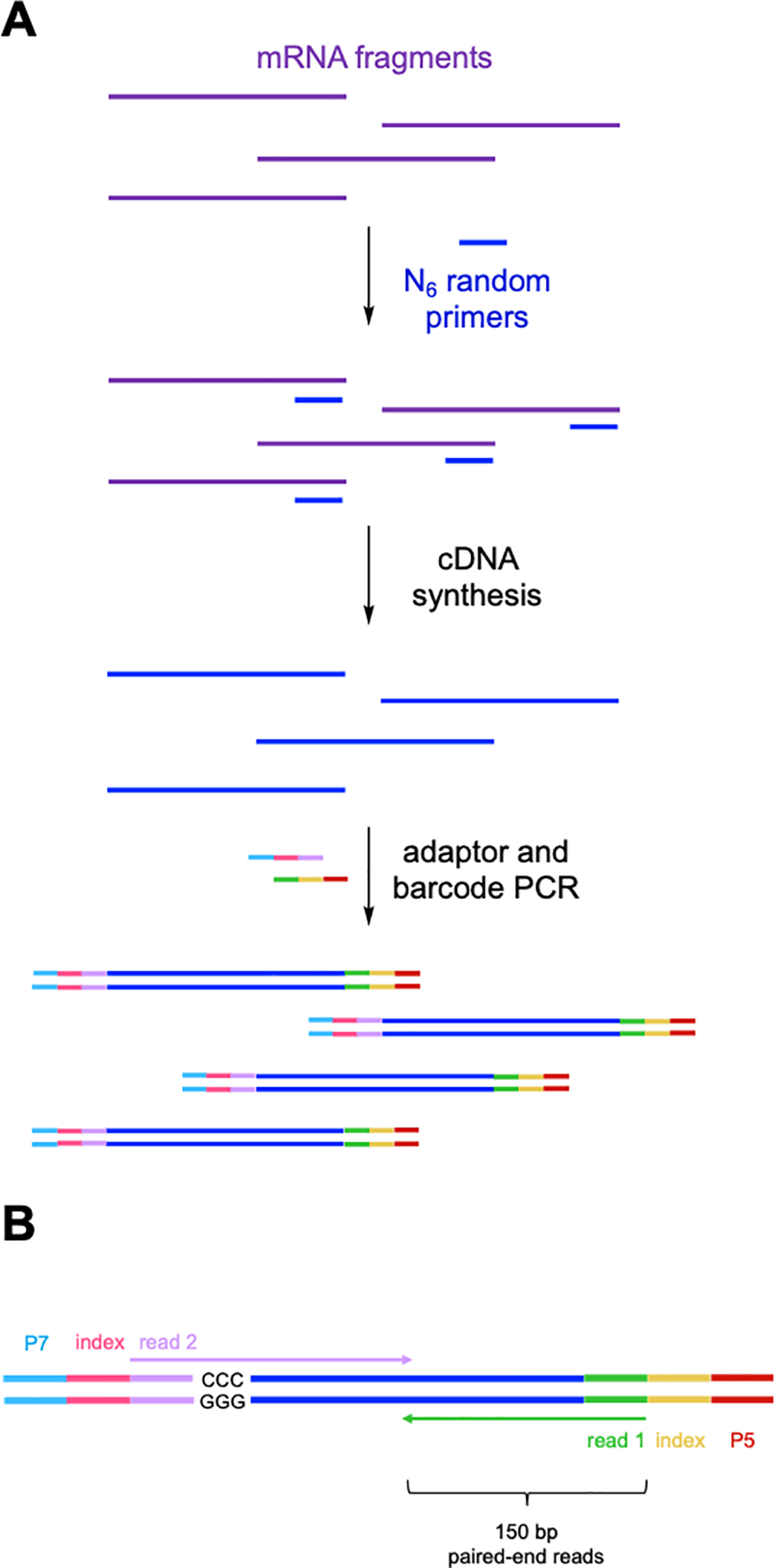 Figure 7.