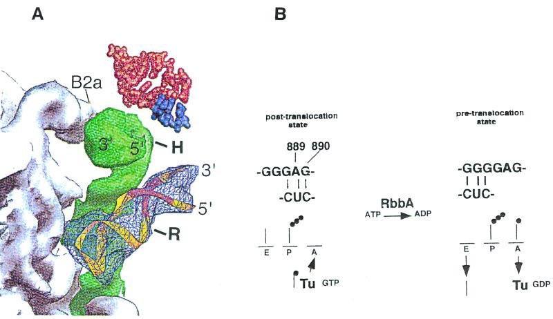 FIG. 6