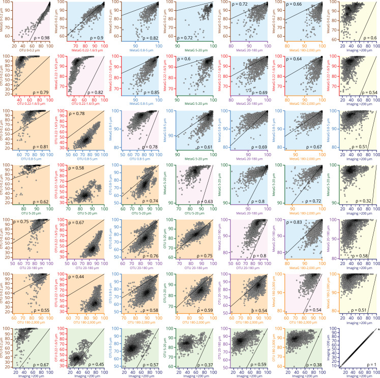 Figure 1—figure supplement 2.