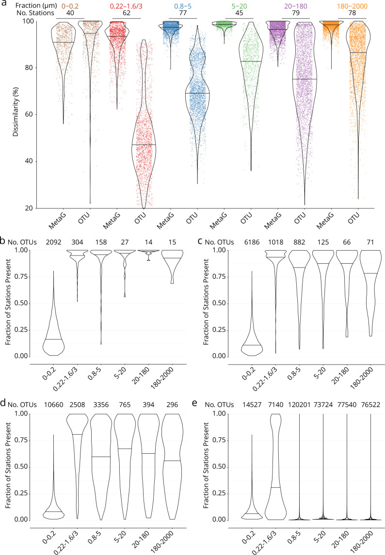 Figure 1—figure supplement 3.