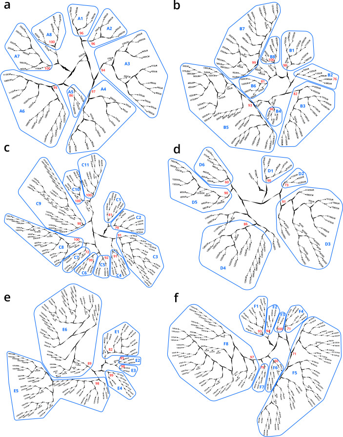 Figure 1—figure supplement 6.