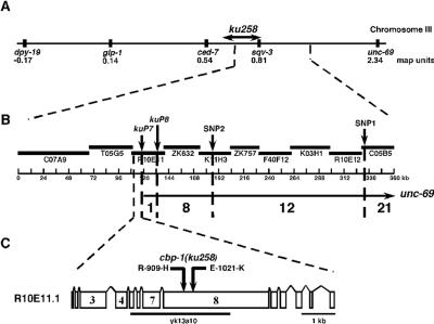 FIG. 1.