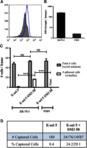 Figure 6