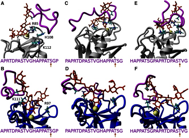 Figure 5