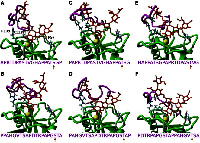 Figure 4