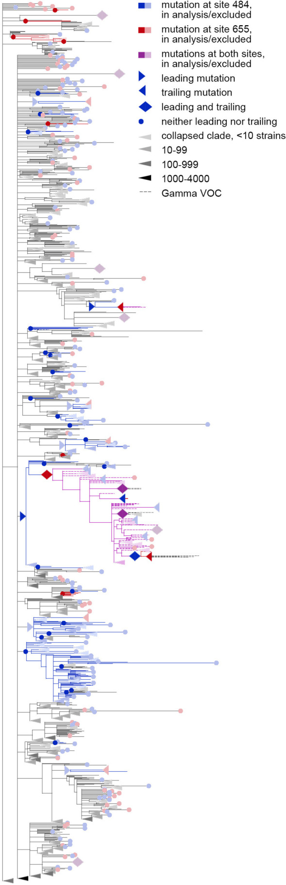 Figure 5—figure supplement 1.