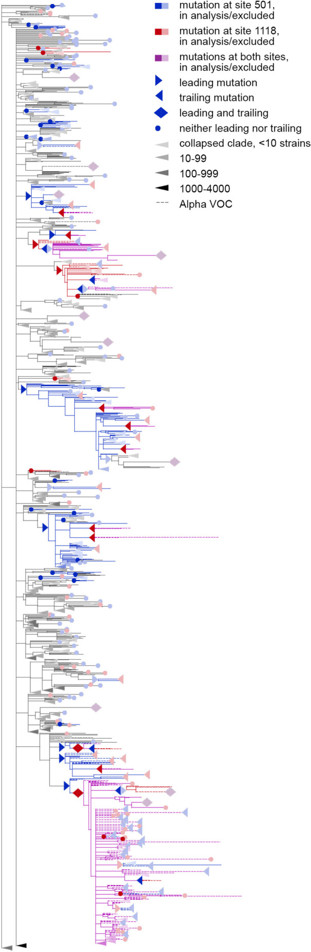 Figure 3—figure supplement 1.