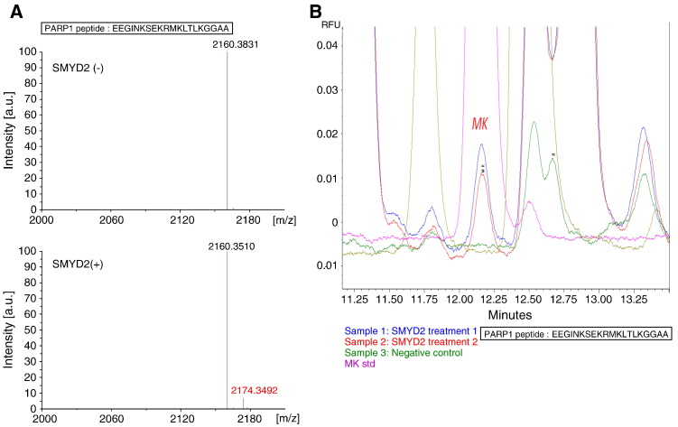 Figure 2