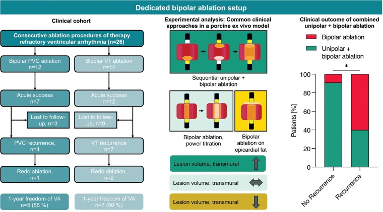 Graphical Abstract