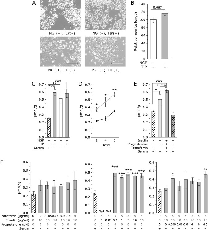 Fig. 1.