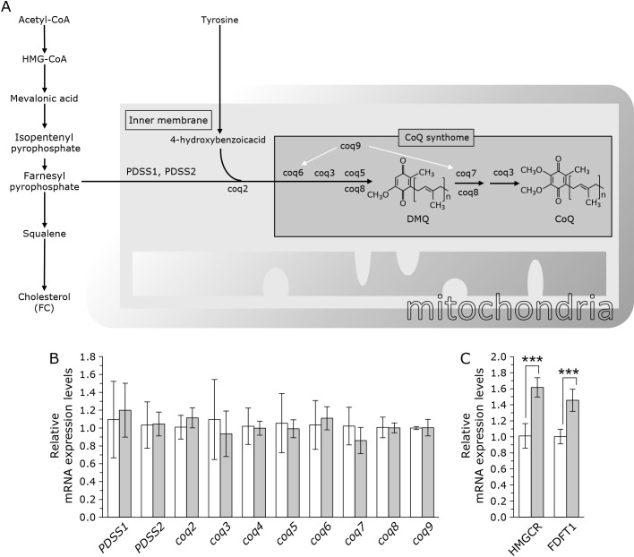 Fig. 3.