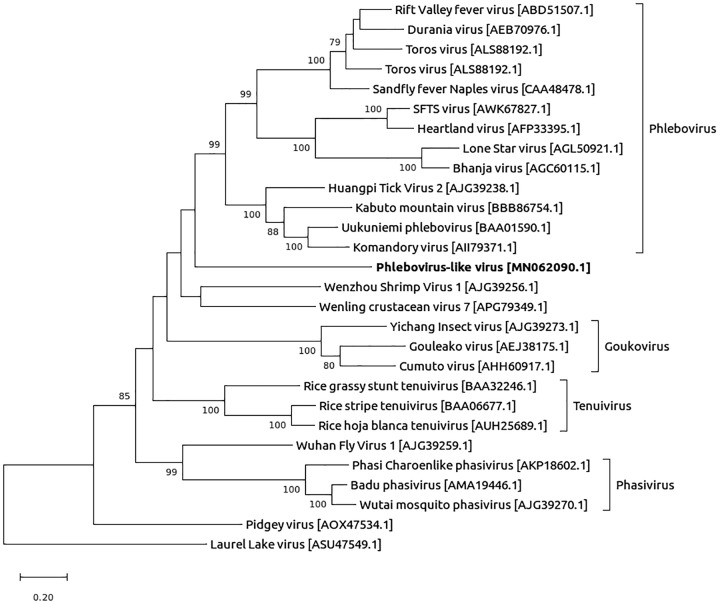 FIG 1