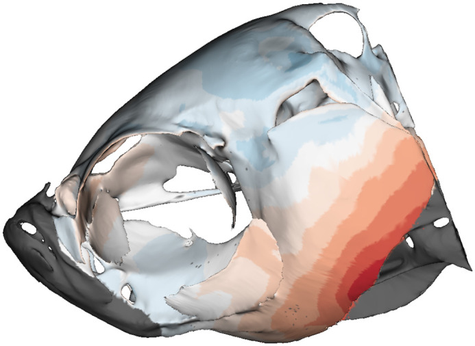 graphic file with name biolopen-11-059235-g1.jpg