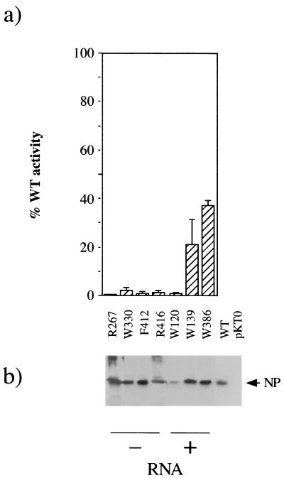 FIG. 7