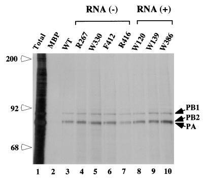 FIG. 6