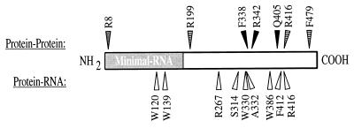 FIG. 8