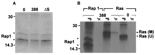 FIG. 6