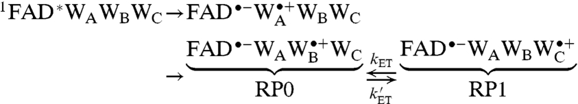 graphic file with name pnas.1118959109eq16.jpg