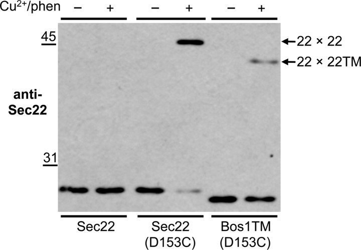 FIGURE 10.